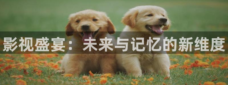 光棍影院伦理我不卡