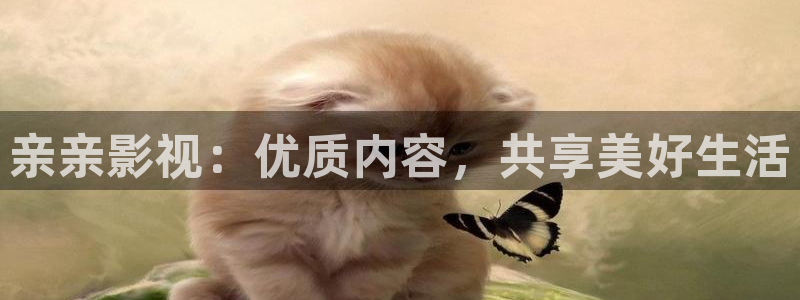 光棍影院手机免费版