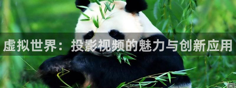 光棍影院光棍影院