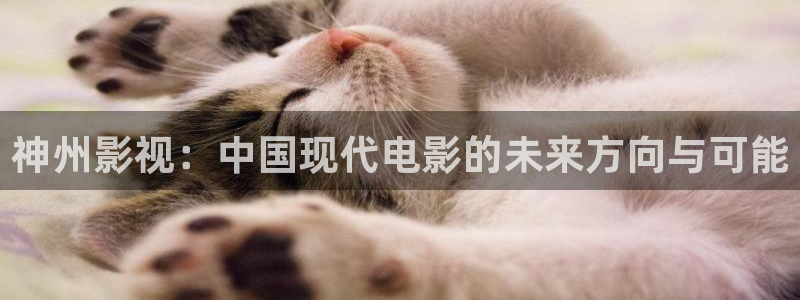 光棍影院在线观看y111